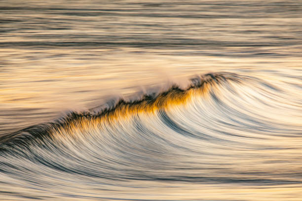 istock Clean ocean wave forming reflecting a bright golden sunrise at the beach 1401856800