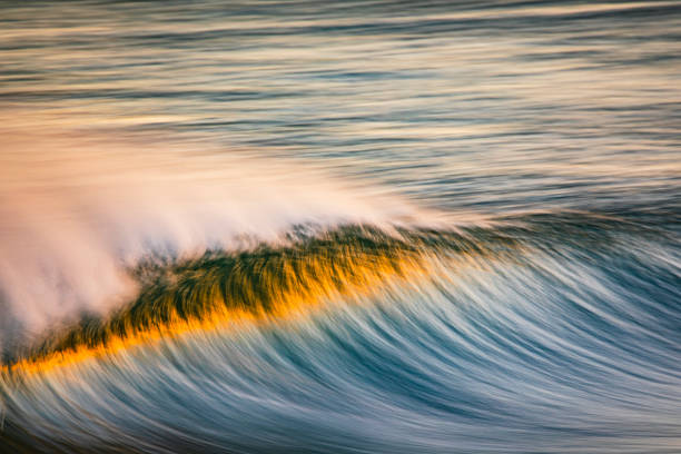 istock Clean ocean wave forming reflecting a bright golden sunrise at the beach 1401856835