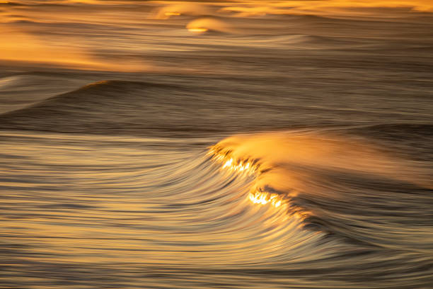 istock Clean ocean wave forming reflecting a bright golden sunrise at the beach 1401856840