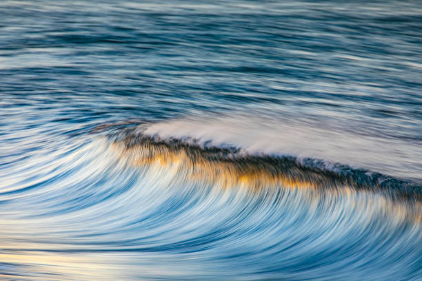 istock Clean ocean wave forming reflecting a bright golden sunrise at the beach 1401856850