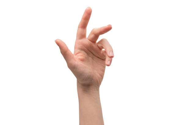 istock Woman hand isolated on a white background. 1401861483