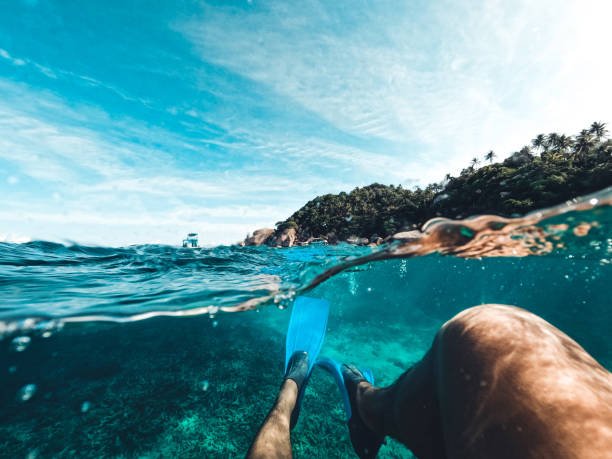 Snorkeling in the sea on a tropical island,clear diving
