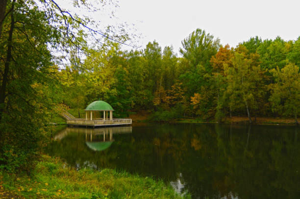 istock Pavilion on the surface of the pond. 1401866346