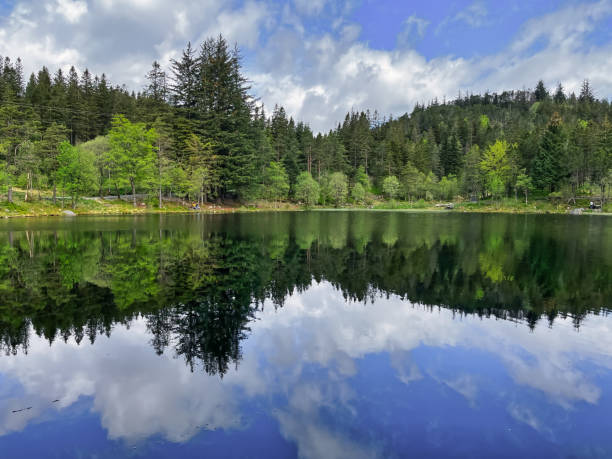 istock Still lake with reflection of mountains, trees and sky 1401868379