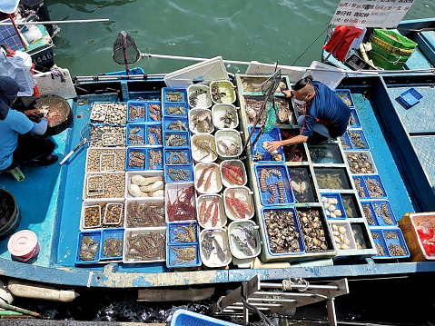 Freshly caught dorado fish in plactic containers at fish market stall for sale as tourist seafood background. Variety of fresh seafood. Selective focus