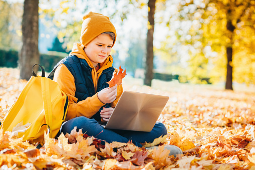 Fall. child shows maple leaf to laptop camera. foliage with background of autumn trees landscape. Video call , online class maple leaves. Bright banner. copy space. Back to school or hello autumn.