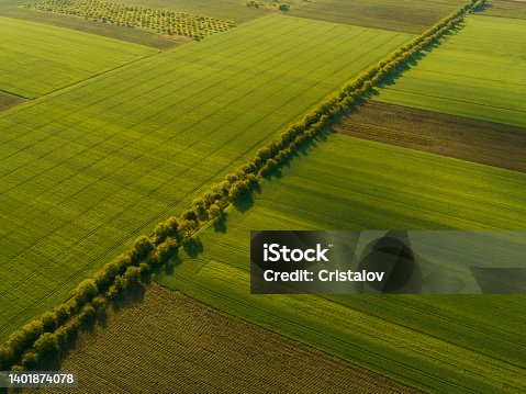 istock Beautiful aerial view from above of lands with crops, green fields. 1401874078