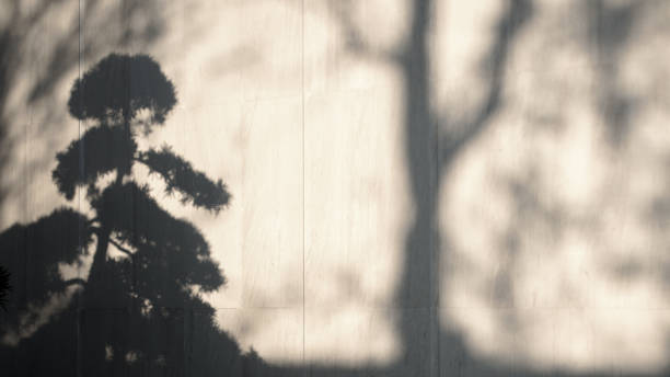 The charm of design details under light and shadow