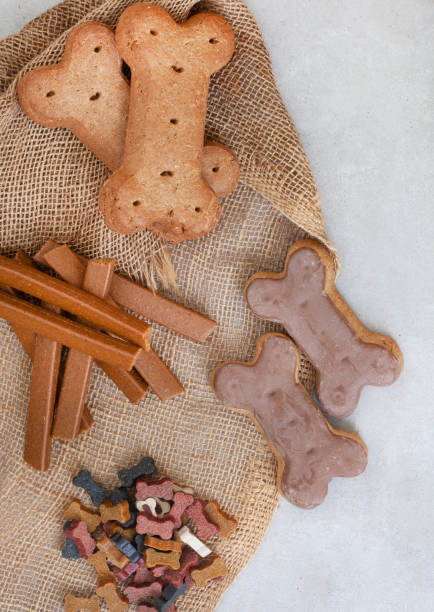 istock dog biscuits and treats 1401877709