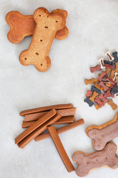 istock dog biscuits and treats 1401877736