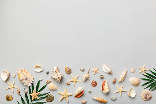 istock Summer time concept Flat lay composition with beautiful starfish and sea shells on colored table, top view with copy space for text 1401877757