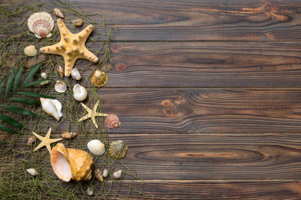 Rope, starfish shells and sand washed up at the seas edge after high tide in Wales UK, on a summers day.