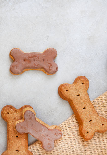 istock dog biscuits and treats 1401877776