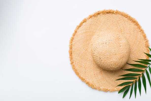 Natural cosmetics and leaves of fern and eucalyptus on a light background. Summer holidays and eucalyptus leaves