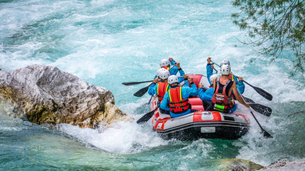 강에서 래프팅하는 친구 - rafting white water rafting water sport cooperation 뉴스 사진 이미지