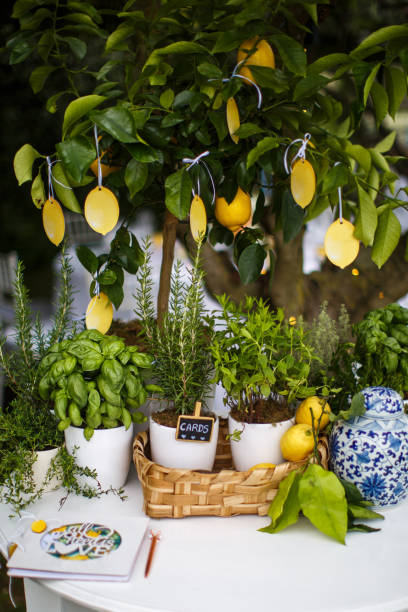 istock Wedding guest list in the form of lemons on a tree 1401894892
