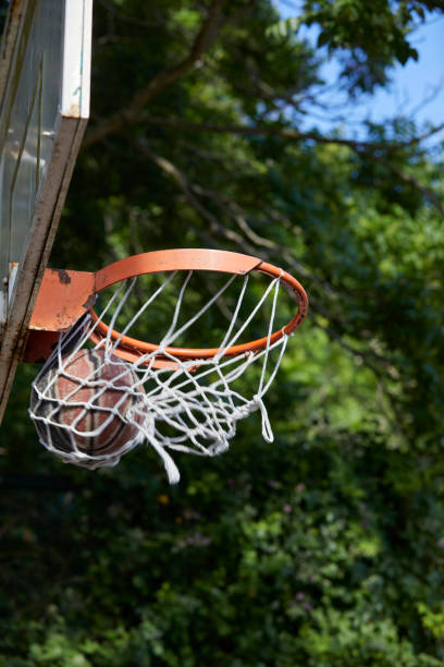 istock basketball ball on basket 1401895481