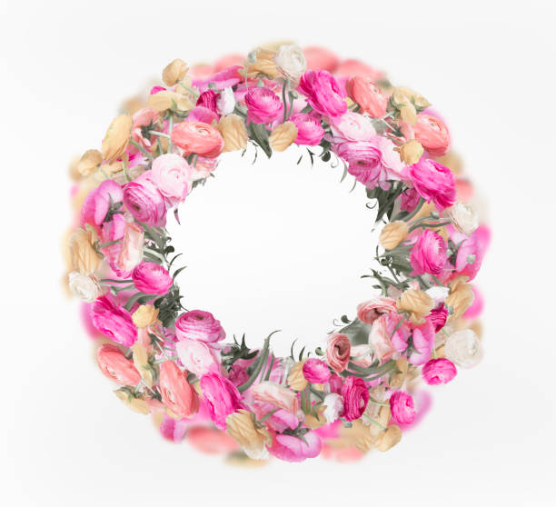 Pretty flowers wreath on white background. Colorful buttercups circle frame layout . Copy space for your design . Pastel colors. Object