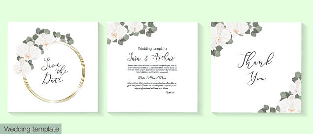 Vector herbal wedding invitation template. White orchid, green plants and leaves, gold frame.