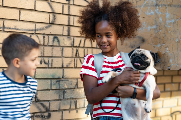 istock Kids playing outdoors with a dog 1401897223