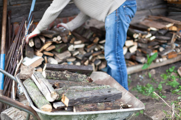istock A man puts firewood from a cart into a firewood storage 1401903410