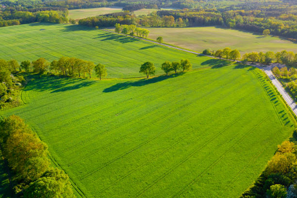 istock View from a height of green fields and trees, summer nature 1401903538