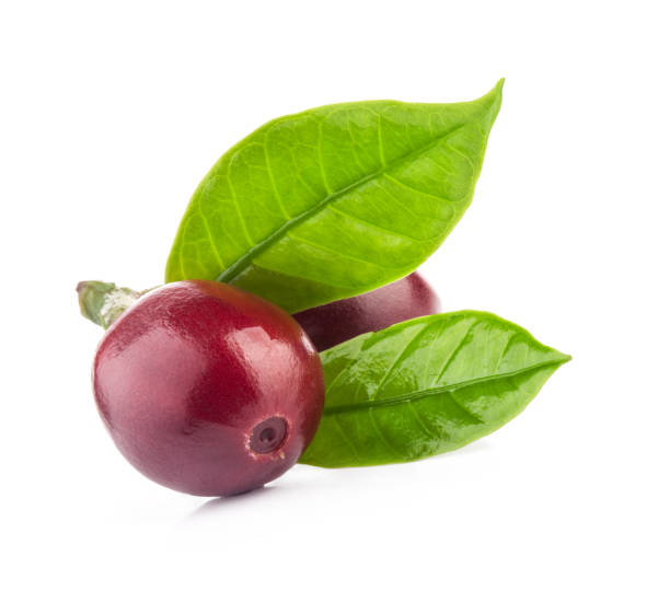 istock Fresh Red coffee beans isolated on white background 1401903758