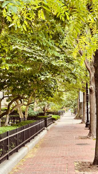 istock Street life Boston 1401904747