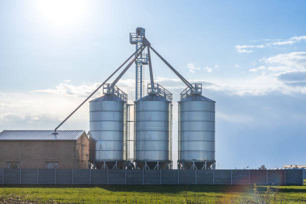 istock Modern granary, grain drying complex, covered elevators on a farm in a field, agriculture. Against the blue sky 1401905086