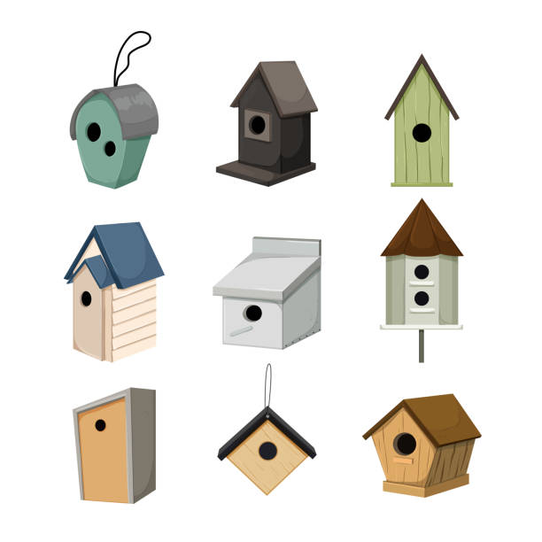 illustrazioni stock, clip art, cartoni animati e icone di tendenza di bird house set cartone animato illustrazione vettoriale - birdhouse