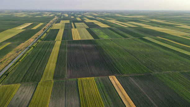 istock Aerial panorama over idyllic green summer farm fields crops pasture 1401911855