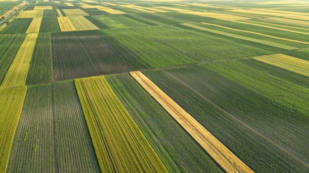 istock Aerial view of green fields 1401911856