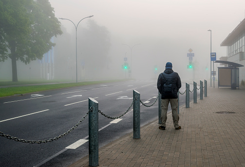 Foggy morning along a public park and European city road with traffic light at pedestrian cross
