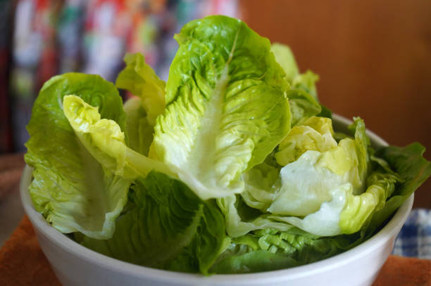 istock Fresh Romaine Lettuce for salad in a bowl 1401912381