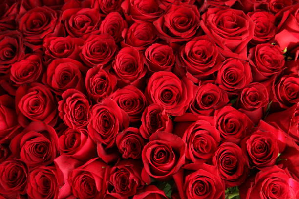 istock Bouquet of roses 1401912644
