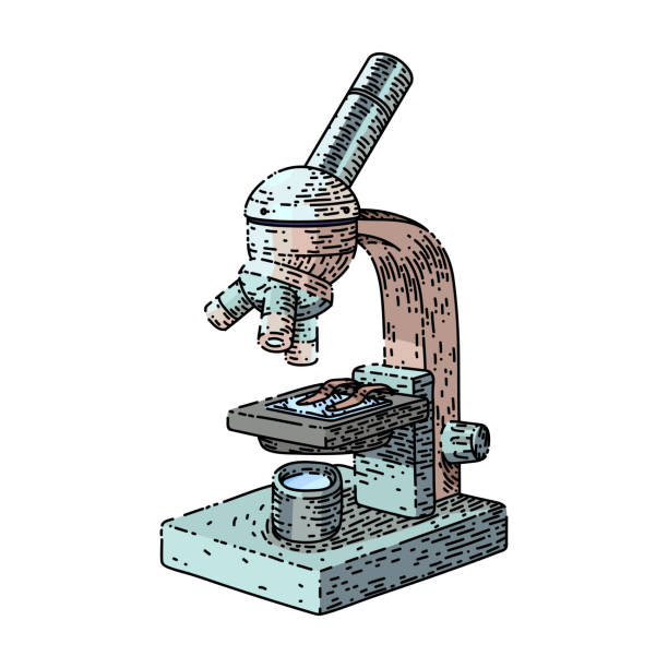ilustrações de stock, clip art, desenhos animados e ícones de microscope lab sketch hand drawn vector - microscop
