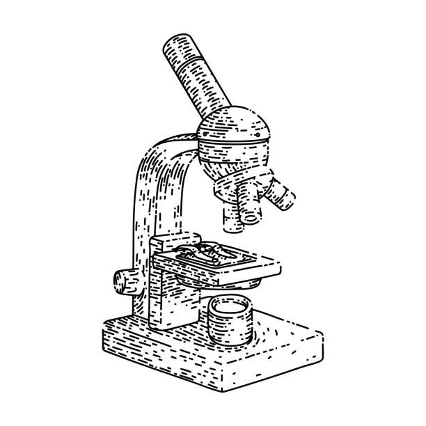 ilustrações de stock, clip art, desenhos animados e ícones de microscope lab sketch hand drawn vector - microscop