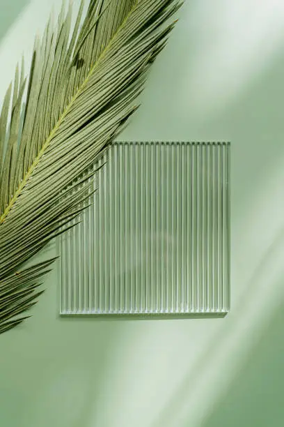 Ribbed acrylic plate on green background with tropical leaf and shadow. Stylish background for presentation.