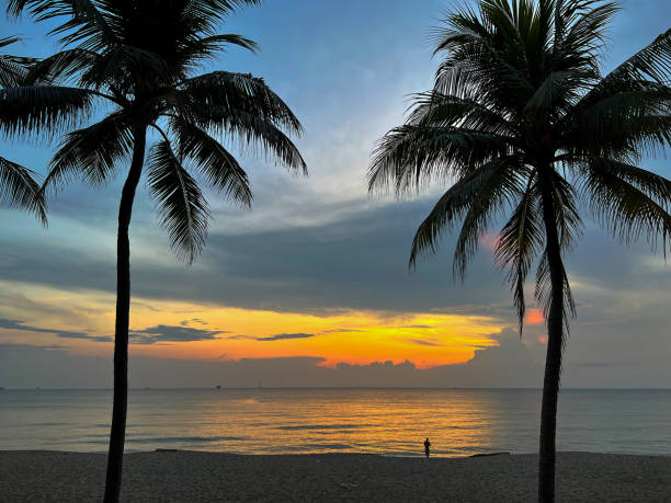 istock A man watching the sunrise at the beach 1401916021