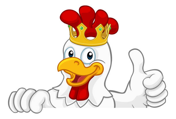 King Chicken Rooster Cockerel Bird Crown Cartoon A chicken rooster cockerel bird cartoon character in a gold kings crown peeking over a sign and giving a thumbs up chicken thumbs up design stock illustrations