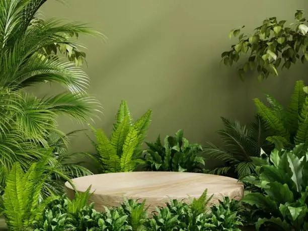 Photo of Circle wood pedestal in tropical forest for product presentation and green wall.