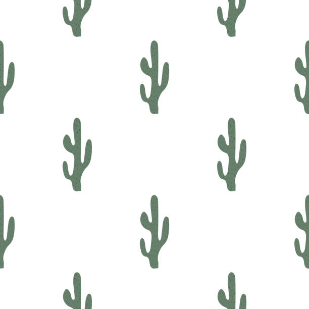 ilustraciones, imágenes clip art, dibujos animados e iconos de stock de lindo patrón de cactus dibujados a mano. símbolo mexicano. tema del salvaje oeste. impresión vectorial de moda coloreada a mano. - abstract backgrounds botany cactus