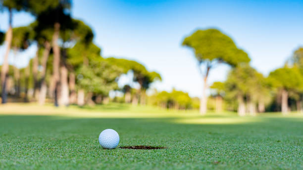istock Golf ball lies next to the hole, blurred background 1401927337