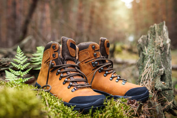 istock Hiking boot in woodland 1401927559
