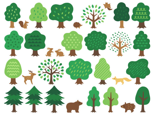 bildbanksillustrationer, clip art samt tecknat material och ikoner med hand drawn style illustration set of various green trees and forest animals - wild boar