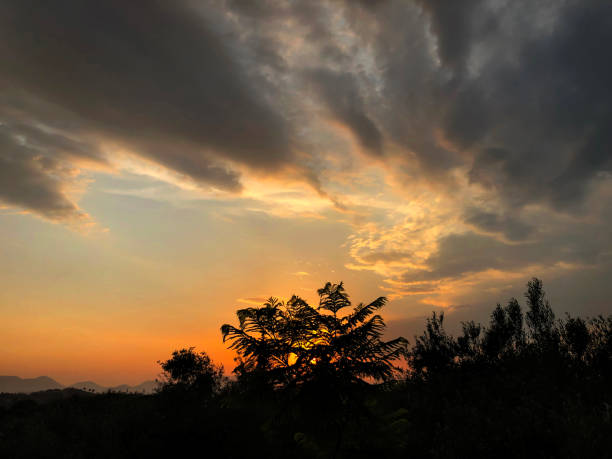 Storm clouds in the sky at sunset, golden hour. The sun setting behind the trees. Taken on mobile device.
