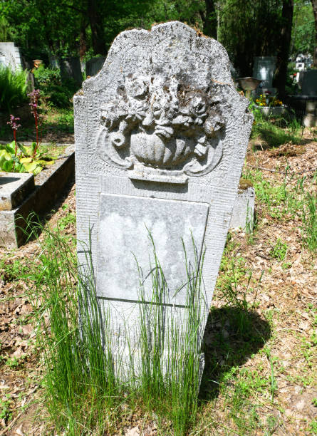 istock Tombstone in the public cemetery 1401935113