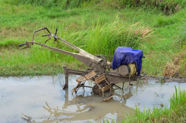 Agricultural Machinery Two Wheel Hand Tractor In The Muddy Water Rice Fields
