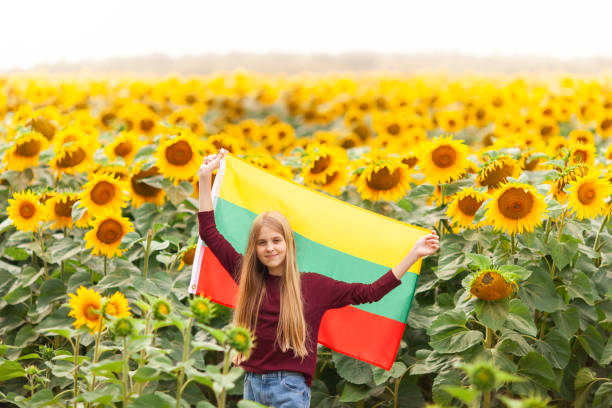 Girl holding flag of Lithuania in a sunflowers field. stock photo