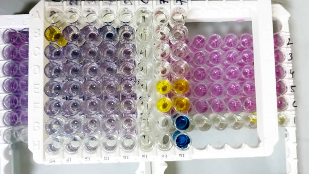 istock Enzyme-linked immunosorbent assay (ELISA) plate, Immunology or serology testing method in medical laboratory 1401941478